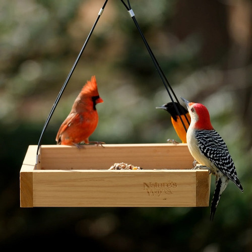Wild Wings Wwcf23 Cedar Tray Bird Feeder