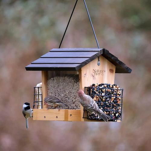 Bird Feeders Bird Feeders
