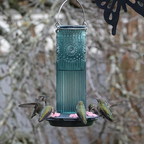 Hummingbird Feeders