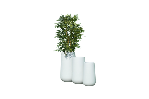 Saigon Round Tapered Planters - Jay Scotts | Plant Addicts