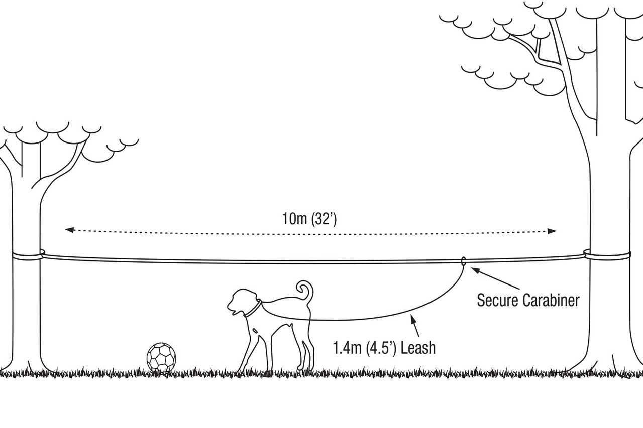Pet Tethering Leash System