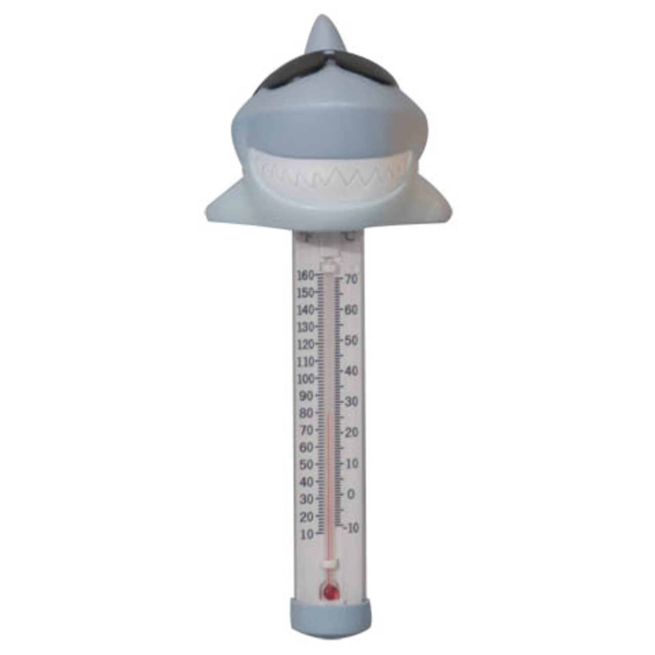 thermometer description