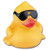 Sunny Rubber Duck $3.99