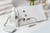 carlton professional electronic epilation machine electrolysis hair removal unit australia clinic salon equipment gold coast brisbane permanent hair removal device