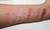 Gorgeous Cosmetics Colour Pro Powder Blush (Discontinued Line)