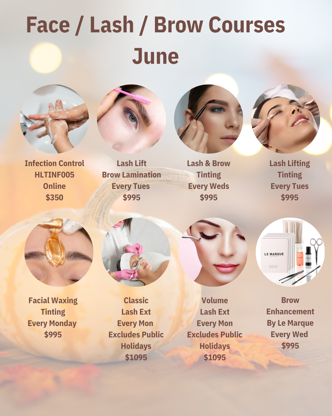 Training Dates Monthly Breakdown Face, Lash and Brow Profile Salon Supplies & Education