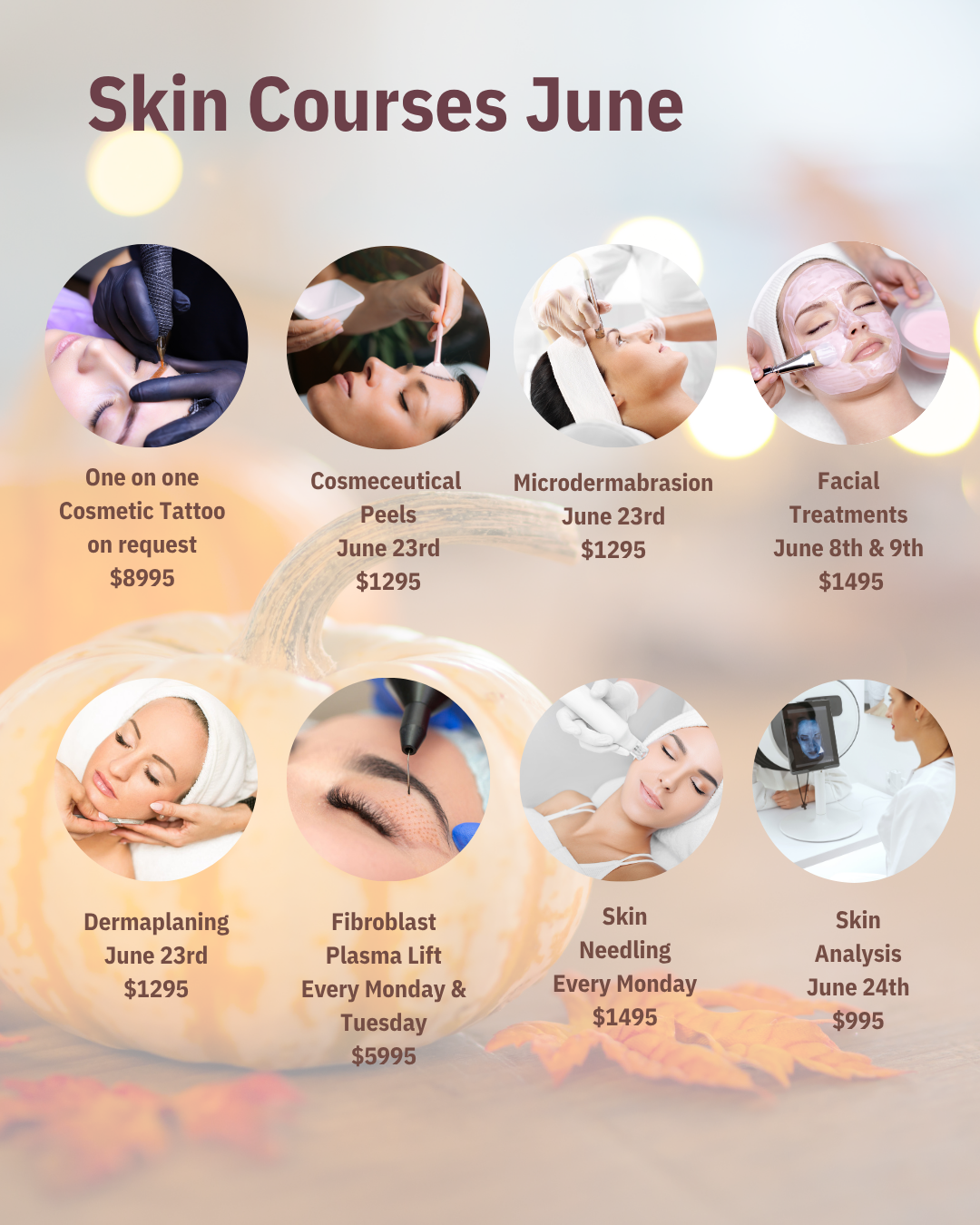 Skin Course Breakdown May Profile Salon Supplies & Education