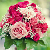 Micro or virtual, we have the wedding package for your customized 2020 wedding!