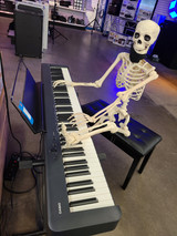 It's Skelton John on the Casio digital piano!