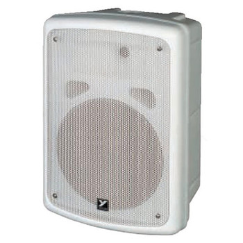 100 watt passive speakers
