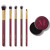 Morphe Decorate Lavishly 6-Piece Face & Eye Brush Set
