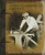 The African-American Odyssey, Volume 1