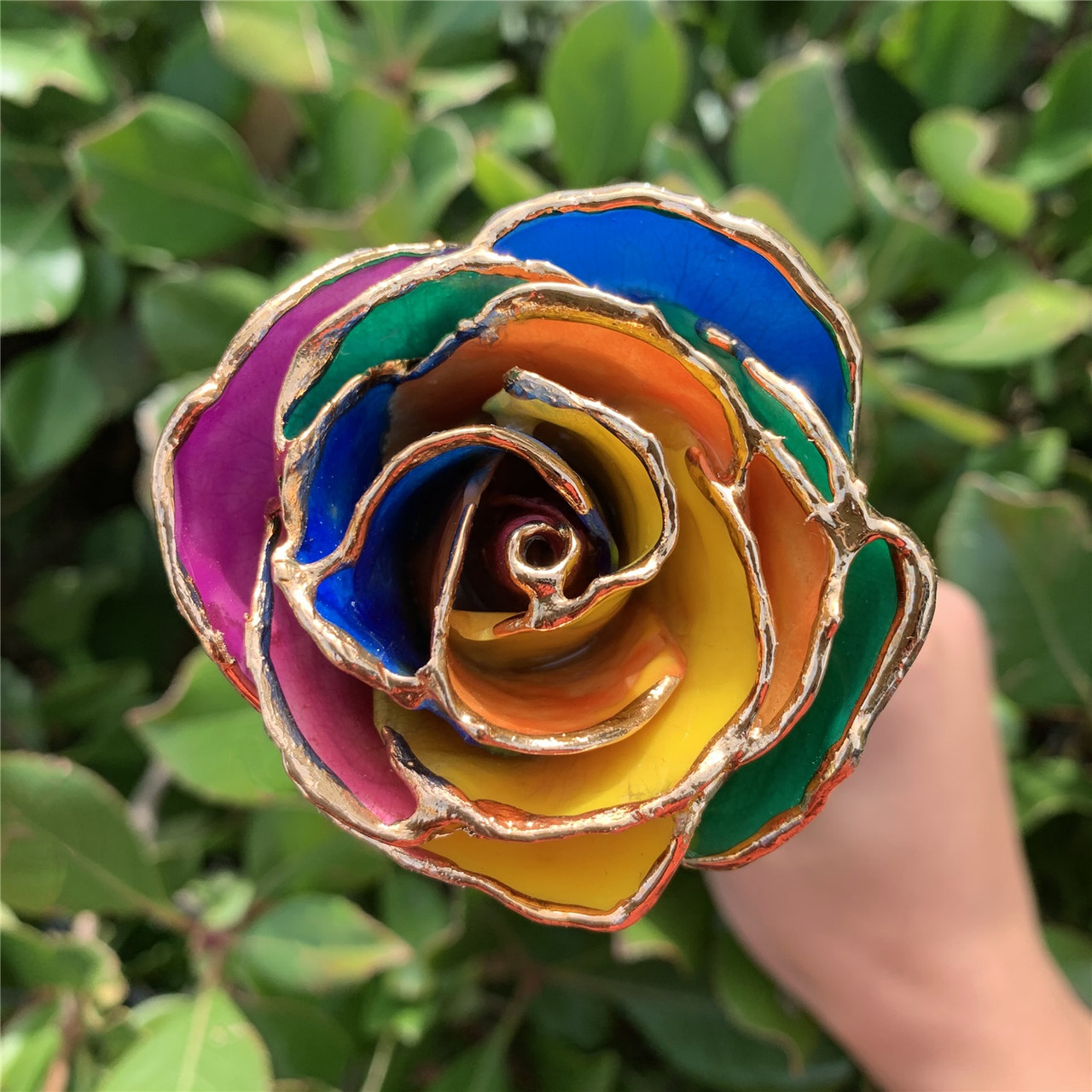 24k Yellow Gold Dipped Rainbow Rose