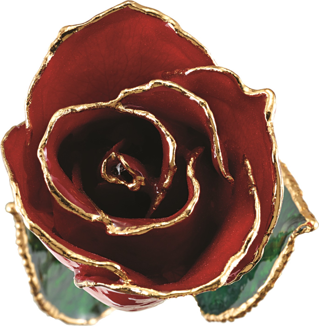 24K Gold Plated Real Rose, lacquered with beautiful Red petals