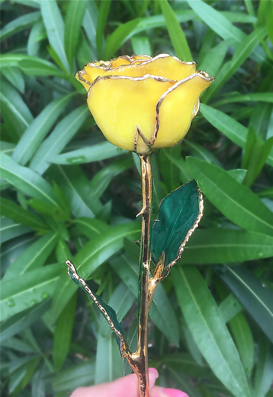 Yellow 24k Gold Dipped Rose