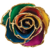 24k Yellow Gold Dipped Rainbow Rose