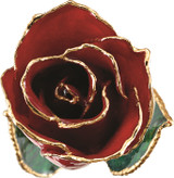 Red 24k Gold Dipped Rose
