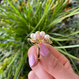 14K Yellow Gold Filigree Pearl, Diamond & Ruby Ring