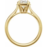 14K Yellow Gold Elongated Cushion Engagement Ring