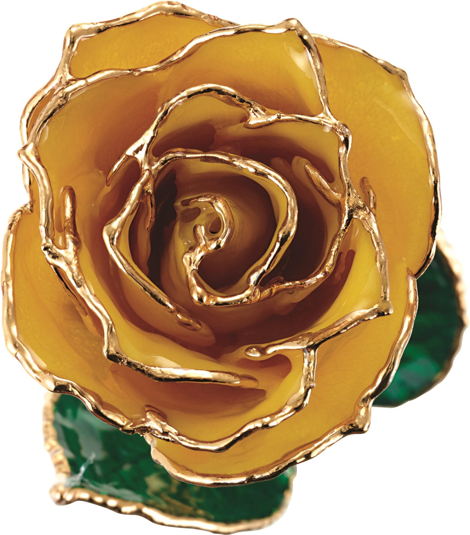 Gold Dipped Roses, Platinum Dipped Roses, 24K Gold Dipped and Lacquered