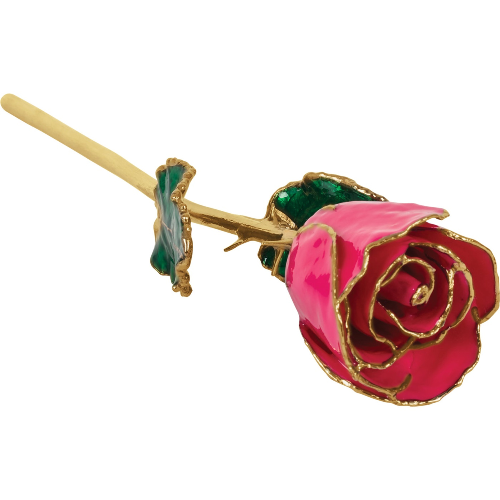 24k Yellow Gold Dipped Magenta Rose