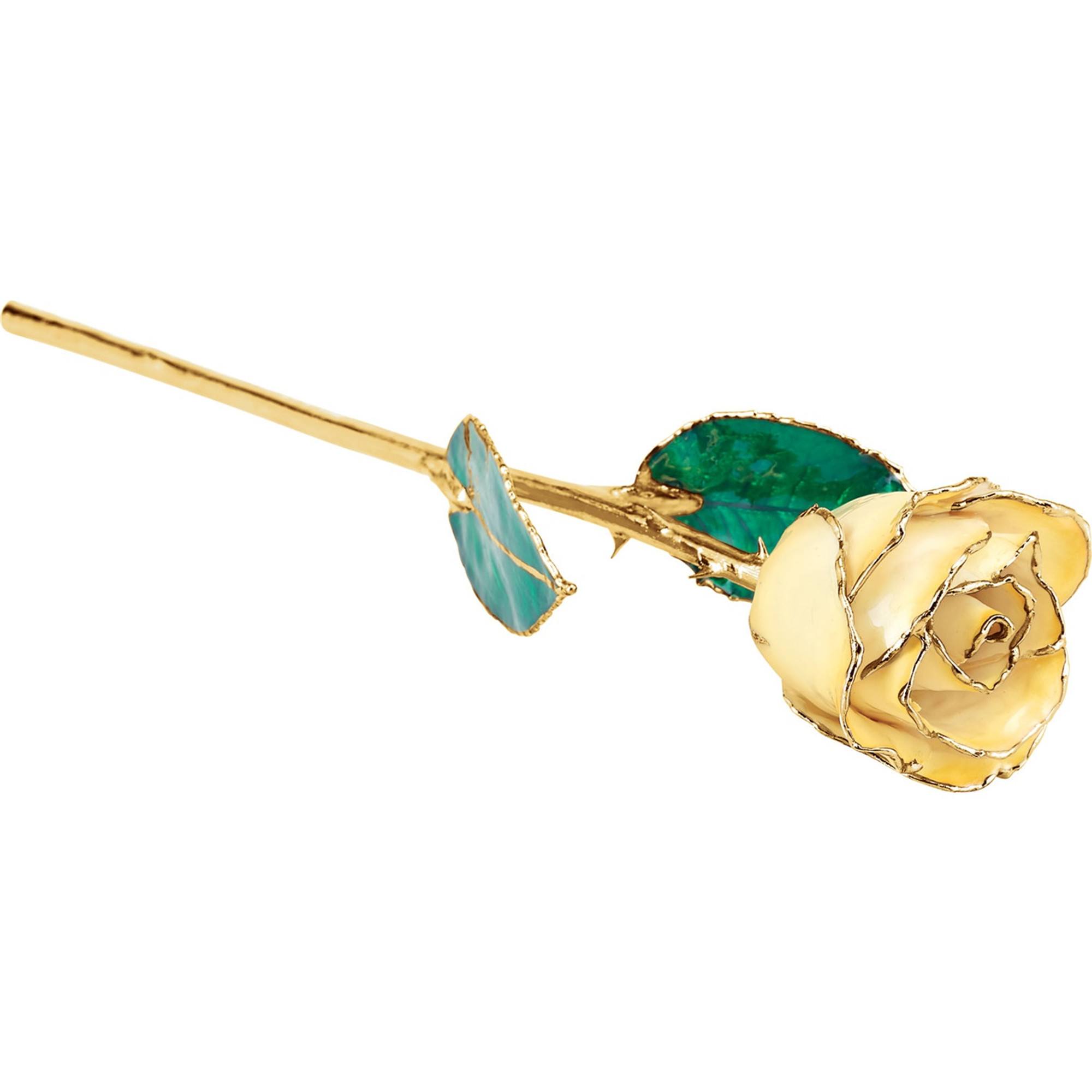 24k Yellow Gold Dipped Cream Yellow Rose