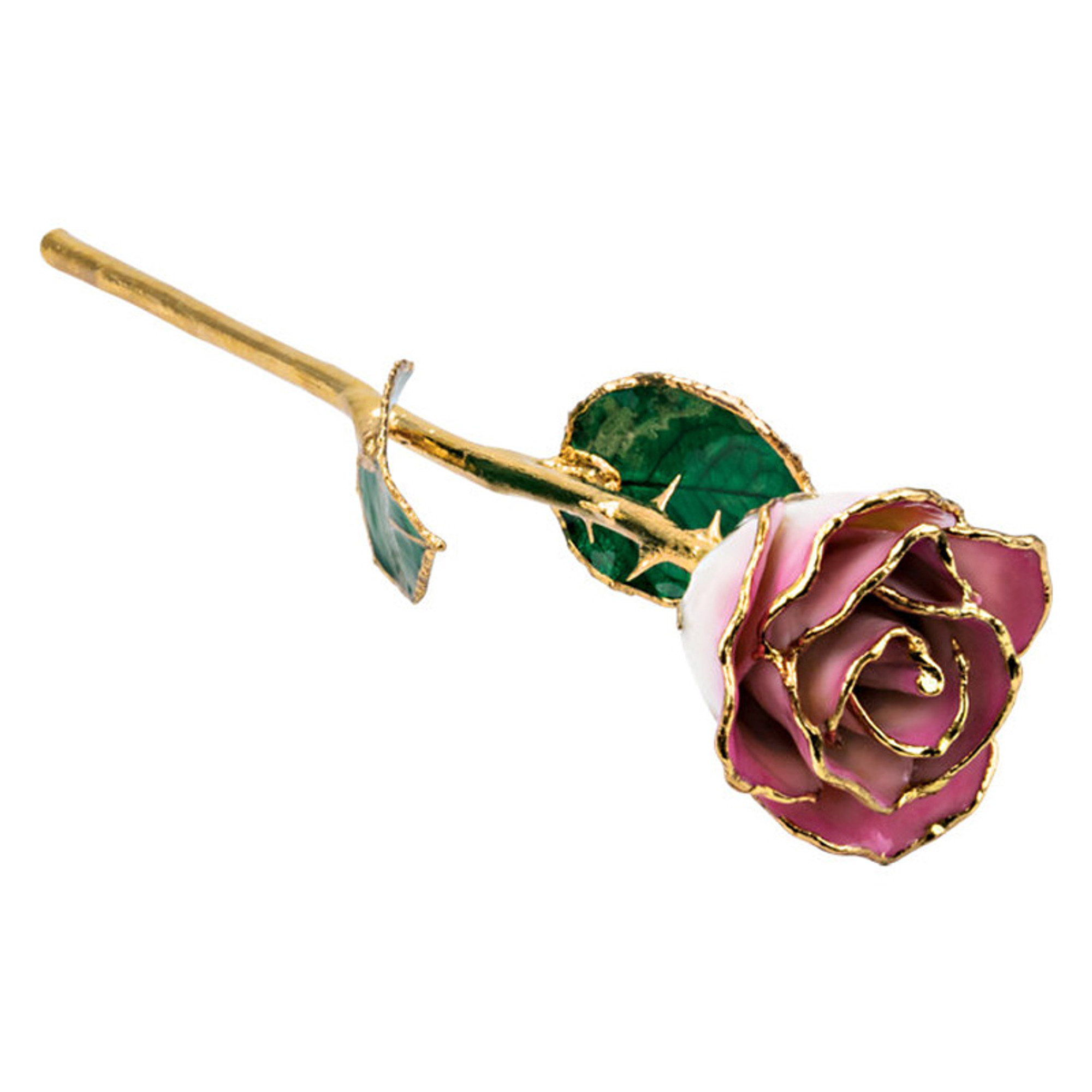 fcity.in - Rings N Things Present Gold Rose 24k Gold Plated Rose Flower With