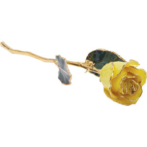 Yellow 24k Gold Dipped Rose Yellow 24k Gold Dipped Rose