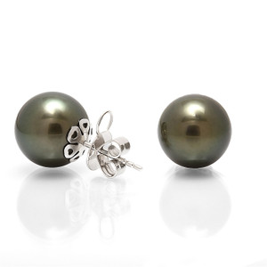 Tahitian Pearls - Black South Sea Pearl Studs