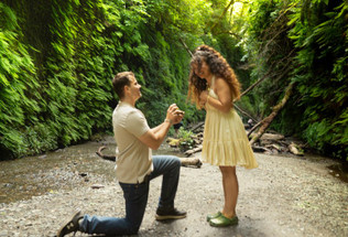 A Fairytale Proposal Beneath The Redwoods.  A Fairytale Proposal Beneath The Redwoods.