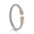Alwand Vahan Silver & Gold Bracelet