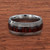 Damascus Steel & Exotic Hardwood Wedding Band