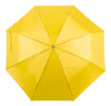 Ziant esernyő (AP741691)