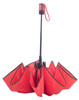 Nubila esernyő (AP808412)