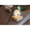 GLOBE LIGHT LED üveggömb asztali lámpa – MO2690