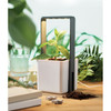 LUSHLET Szobakert LED fénnyel (MO2702)