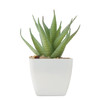 ARTILOE Mini műnövény aloe ferox mill | MO2852