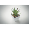 ARTILOE Mini műnövény aloe ferox mill | MO2852