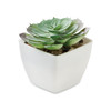 ARTIECHE Mini műnövény – Echeveria (MO2853)