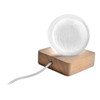 Üveg fénygömb fa LED talppal – AP800259