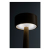 Bambusz asztali lámpa AP864132 — 24 LED, USB újratölthető