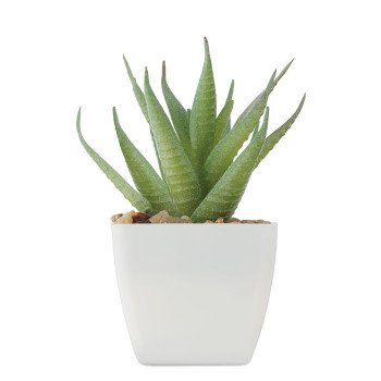ARTILOE Mini műnövény aloe ferox mill | MO2852