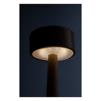 Bambusz asztali lámpa AP864132 — 24 LED, USB újratölthető