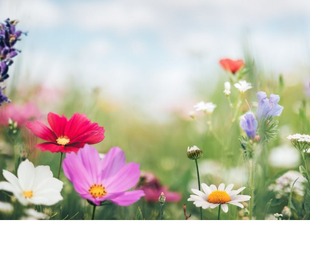 Céges ajándékcsomag dolgozóknak: nyakunkon a tavasz, ideje felkészülni a kellemes időre