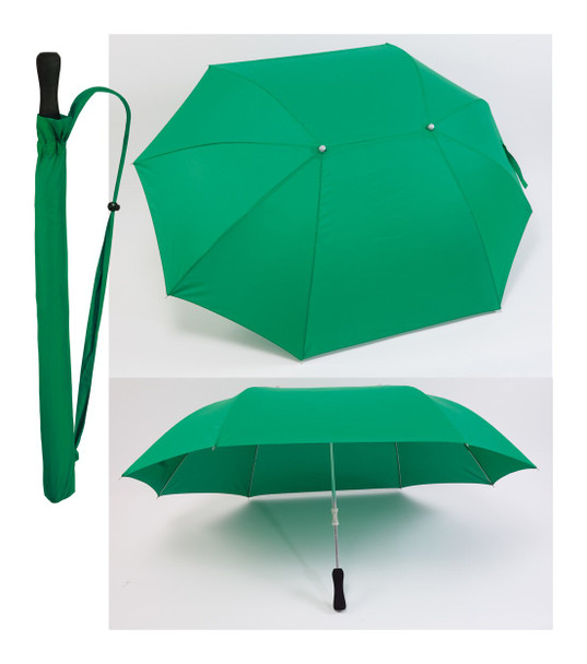 Siam esernyő (AP791321)
