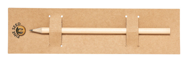 Etesio Újrahasznosított Ceruza Fenyőmagokkal  