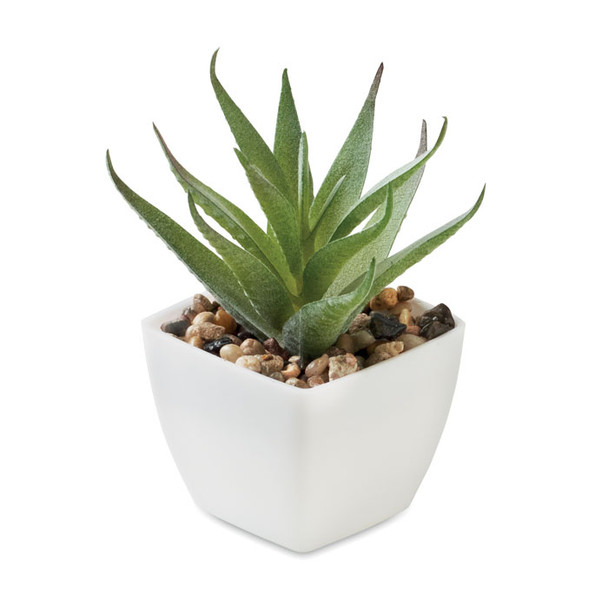 ARTILOE Mini műnövény aloe ferox mill | MO2852