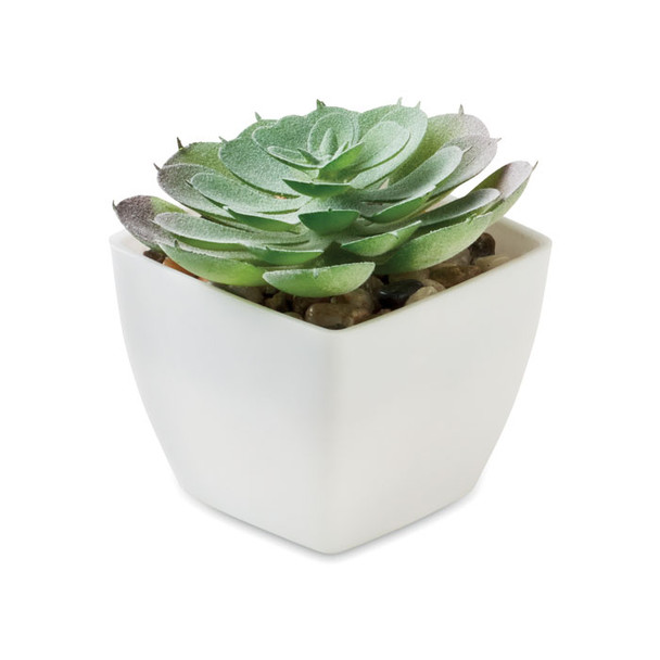ARTIECHE Mini műnövény – Echeveria (MO2853)
