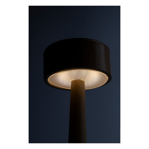 Bambusz asztali lámpa AP864132 — 24 LED, USB újratölthető