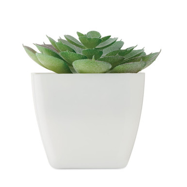 ARTIECHE Mini műnövény – Echeveria (MO2853)